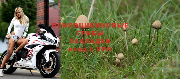 a pvp Алзамай