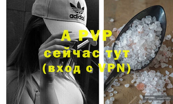 тгк Алексин