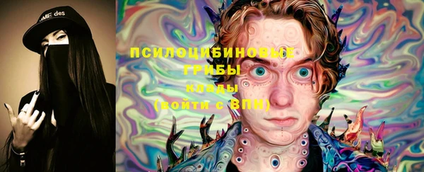 a pvp Алзамай