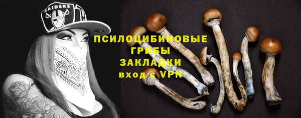 a pvp Алзамай