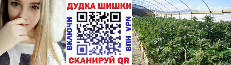Шишки марихуана ГИДРОПОН  Купить где  Ува 